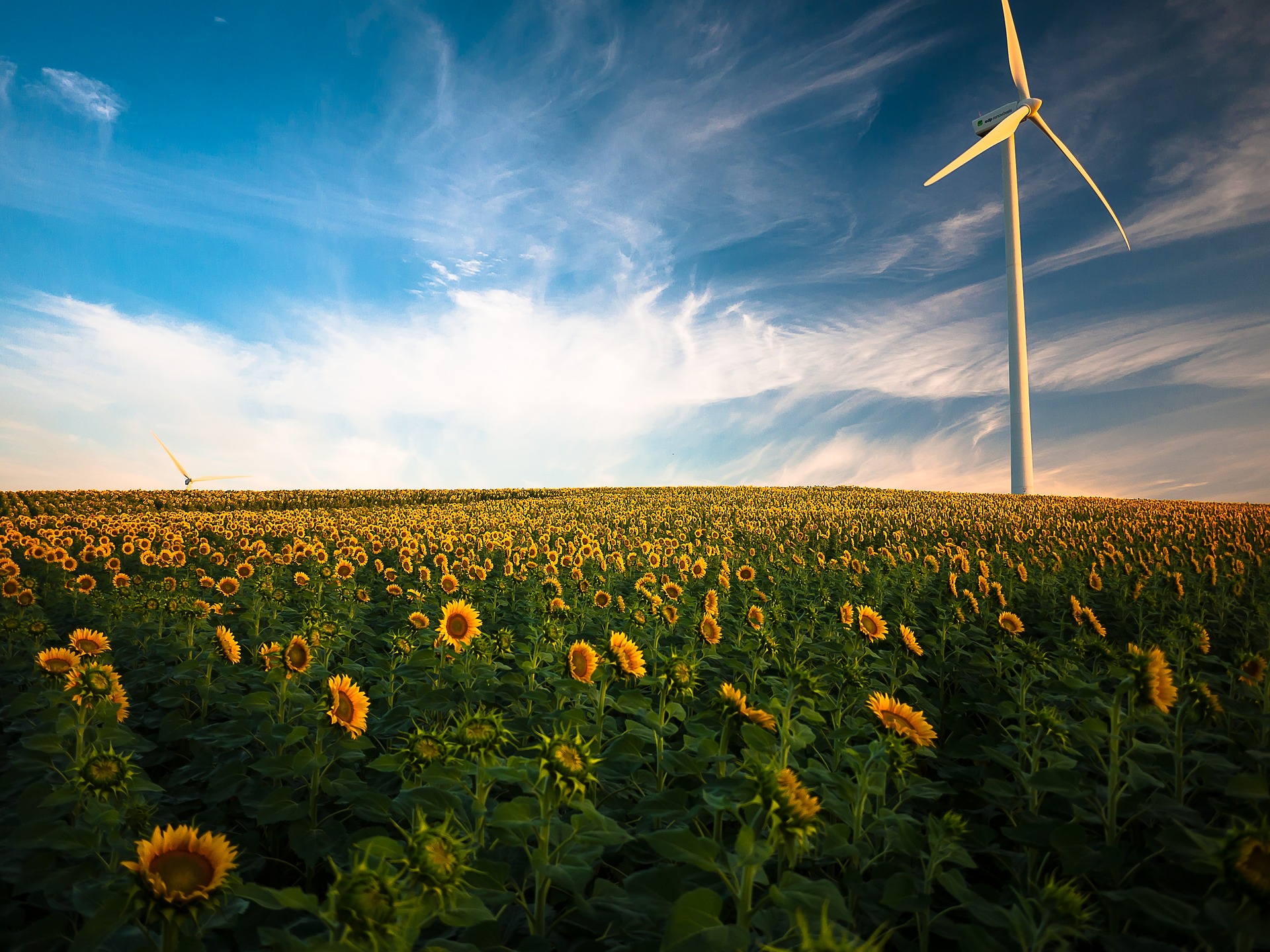 Vorrang für erneuerbare Energien auf allen Ebenen – welche Entscheidungen kommen auf uns als kommunale Mandatsträger*innen zu?